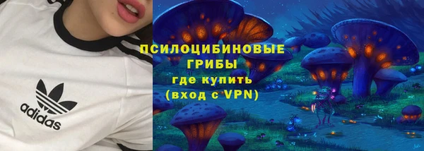 прущая мука Надым